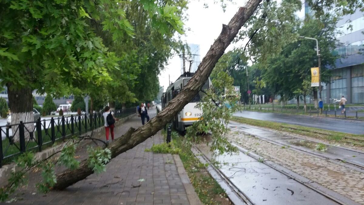 Incident pe linia tramvaiului 41, din Capitală. Circulaţia a fost reluată
