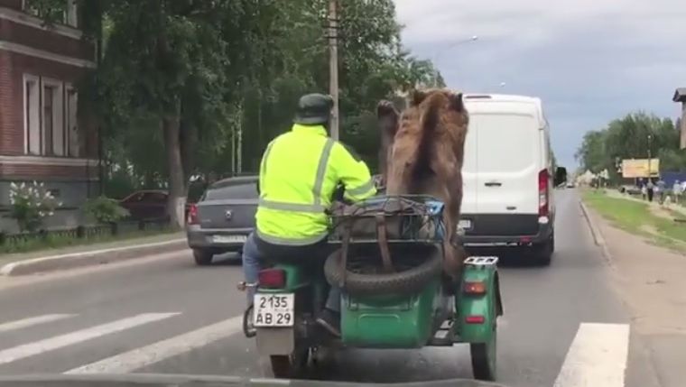 Numai în Rusia se poate întâmpla aşa ceva. Imaginile care te vor face să mori de râs
