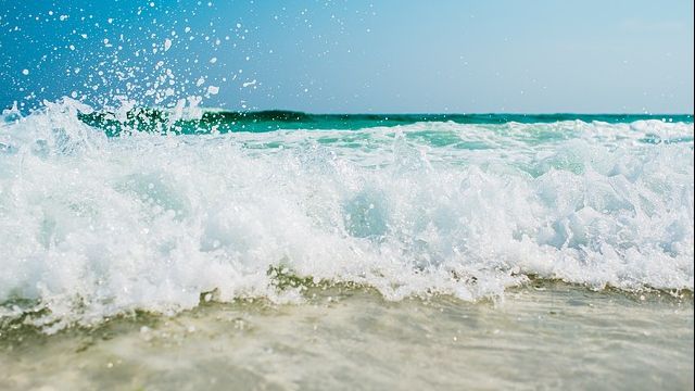 Dezastru ecologic. 11 plaje, închise