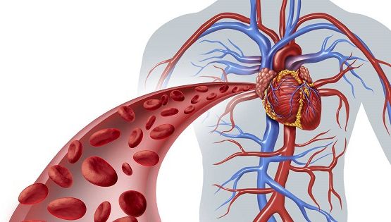  Lucrurile pe care le faci zilnic îmbolnăvesc grav inima! Află cum poți preveni această afecțiune
