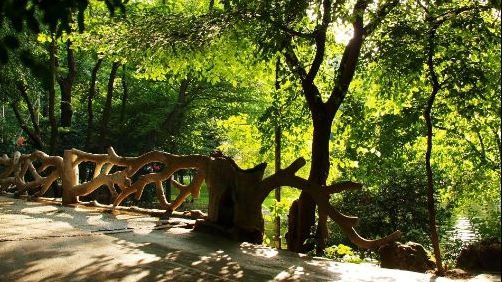 Parcul Cișmigiu din București, focar de infecție. Ce s-a descoperit aici
