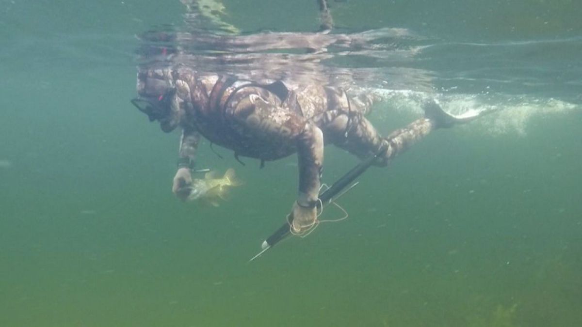 Noile aventuri ale lui Vladimir Putin în Siberia. În campanie de imagine, cu undița în mână