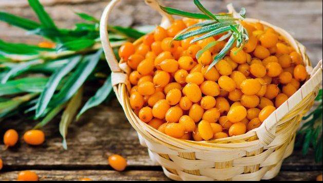 5 boli pe care le tratează CĂTINA, ginsengul românesc. Cum o consumi CORECT