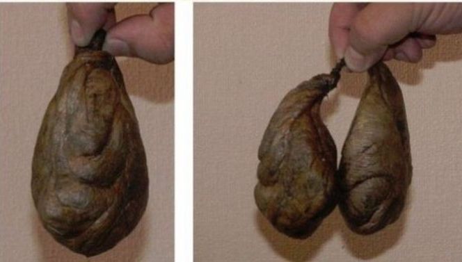 Ingrediente dezgustătoare pe care cu siguranţă le-ai folosit cel puţin o dată fără să ştii