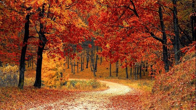 Schimbare suprinzătoare a vremii. Prognoza meteo pentru prima săptămână din octombrie