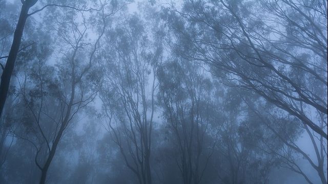 Atenționare meteo: Este Cod Galben în 12 județe