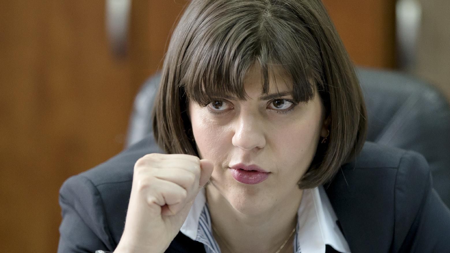 Ce i-a transmis Tudorel Toader șefei DNA