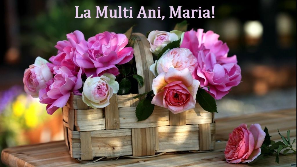 MESAJE SFANTA MARIA 2019. Cele mai frumoase MESAJE şi FELICITĂRI: spune-i "LA MULŢI ANI"!