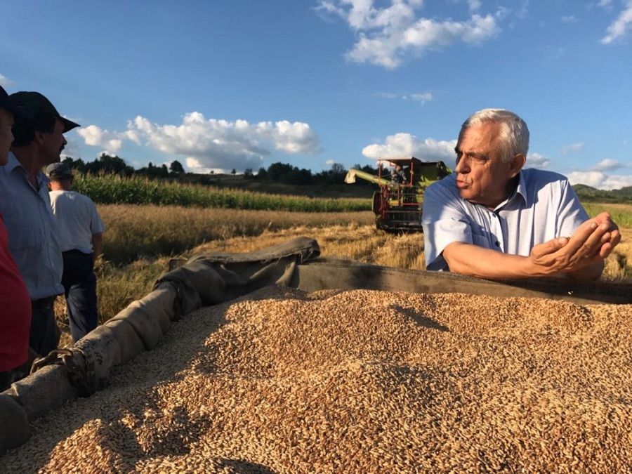 Petre Daea a mâncat fasole cu ciolan în târg: "Să îmi daţi două, ca am şi şofer. La caserolă"