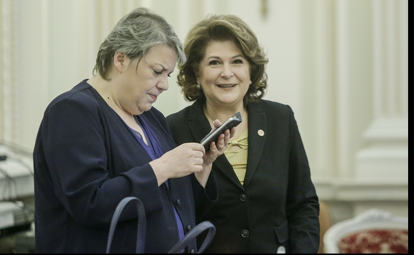 PSD apără miniștrii vizați de DNA. Scut în jurul lui Sevil Shhaideh și Rovanei Plumb