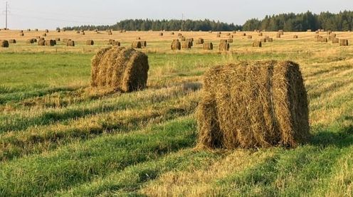O întreagă comună s-a vândut în întregime străinilor! Localnicii sunt disperați