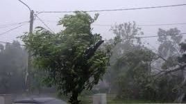 Atenționare meteo de vânt puternic. Vezi județele afectate