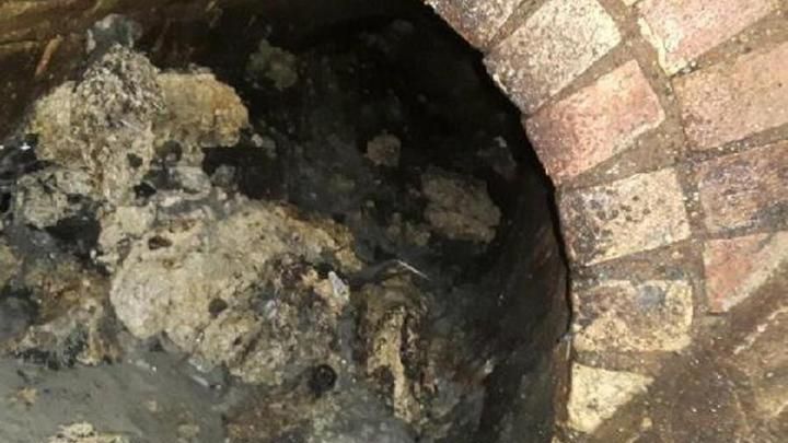 Descoperire halucinantă în canalizare. ”Monstrul” din subteran găsit de lucrătorii de la salubritate