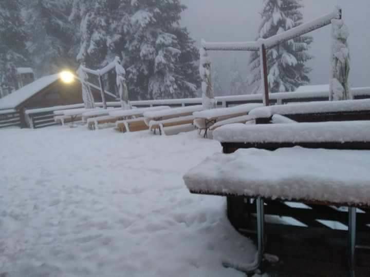 IMAGINI de poveste cu ninsoarea căzută în această dimineață în România 