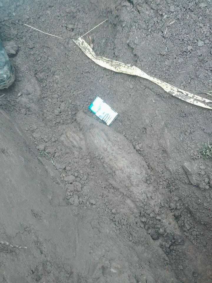 GALERIE FOTO. Descoperire uluitoare făcută de muncitorii CFR