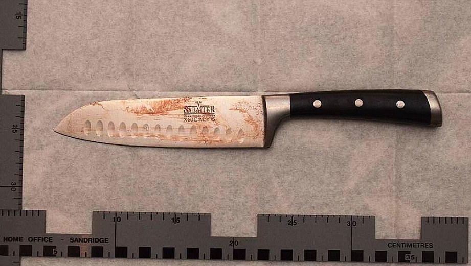 Crimă înfricoșătoare! Și-a ucis sora mai mare cu zeci de lovituri de cuțit, din gelozie