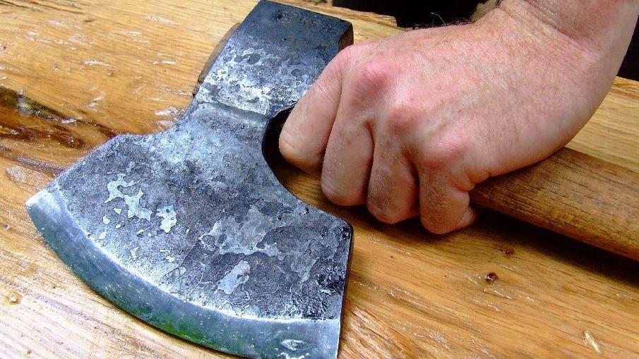 Adolescent sechestrat sub amenințarea cu moartea de un cioban: ”Ți-l fac bucăți!”