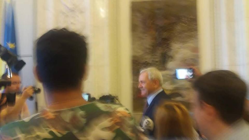 Liviu Dragnea s-a ținut de promisiune, în privința Rovanei Plumb: Am votat împotrivă