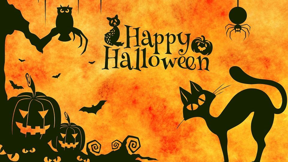 Surpriza pregătită de GOOGLE pentru români, de Halloween: Nimeni nu se aştepta!