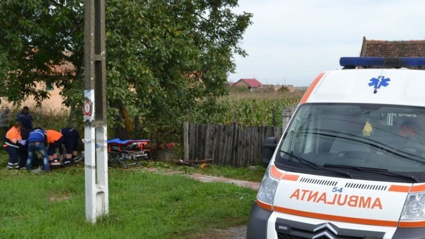 Sfârșit ÎNGROZITOR pentru un tânăr din Dâmbovița! Totul s-a întâmplat în timp ce culegea nuci