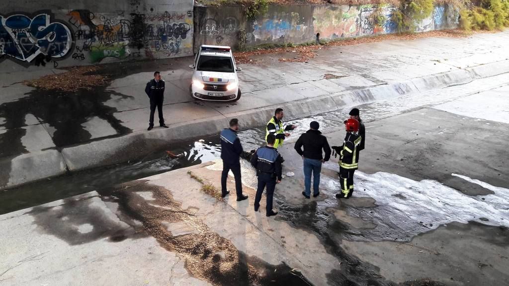 Descoperire macabră în Piatra Neamţ! Când au văzut asta, localnicii au sunat disperați la 112