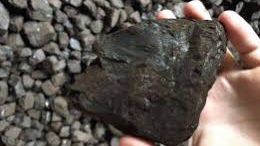 Uimitor! Motivul util pentru care ar trebui să păstrezi mereu cărbune în casă