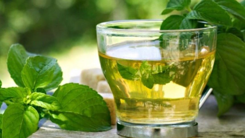 A mirosit câteva frunze de mentă şi nu a simțit niciun miros. După ceva timp a murit