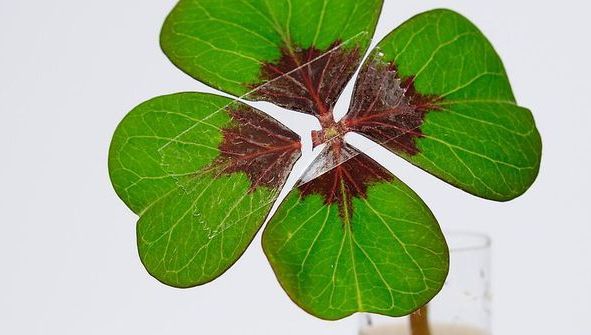 Topul celor mai norocoase zodii! Care sunt cele care au tras lozul cel mare