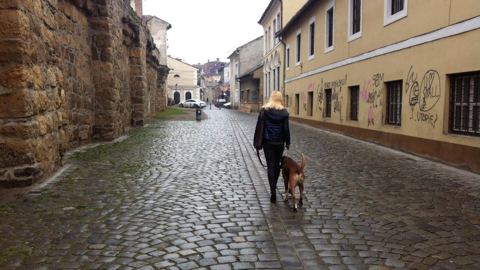 Descoperire macabră făcută de trecători pe o stradă din oraş