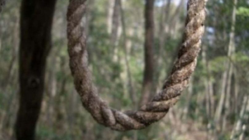 Un bărbat a fost găsit sprânzurat în pădure. Polițiștii l-au identificat 