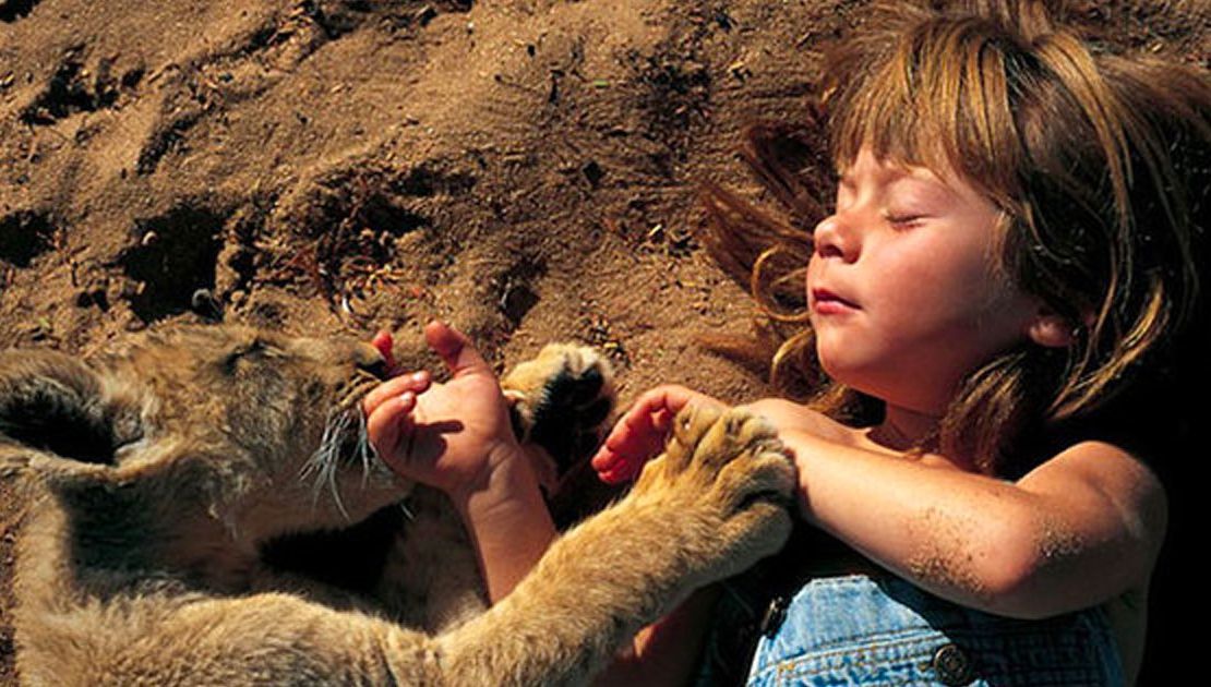 Au lăsat fetiţa singură cu un pui de leu. Părinţii au revenit după 30 minute, şocaţi de ce au găsit
