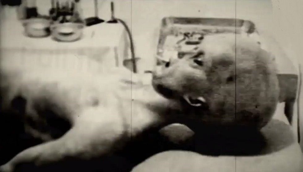 Adevărul despre autopsia unui extraterestru. Secretul a ieșit la iveală