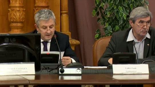 PNL, avertisment către judecătorii CCR, privind sesizările pentru Legile Justiției 