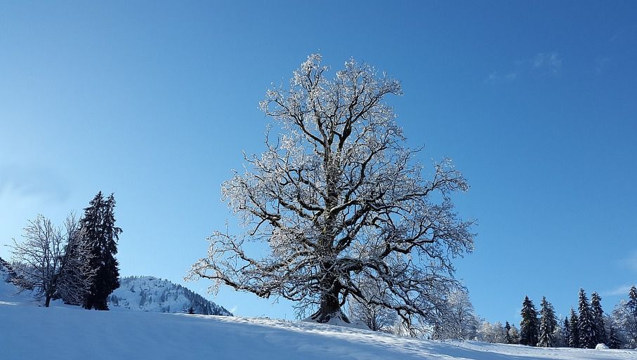 Vreme neașteptată în următoarele două zile. Anunțul meteorologilor