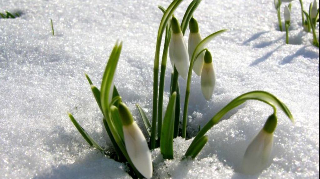 Anunţ de ultimă oră de meteo: Cum va fi vreme în weekend