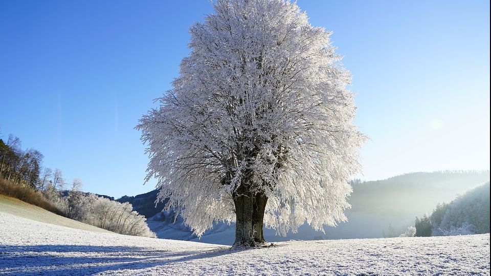 Prognoza meteo până la sfârșitul lunii. Câteva zile de ninsori și ger