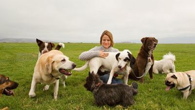 Animalele de companie pentru care trebuie să ai poliță de asigurare. AMENZI USTURĂTOARE, dacă nu ai 