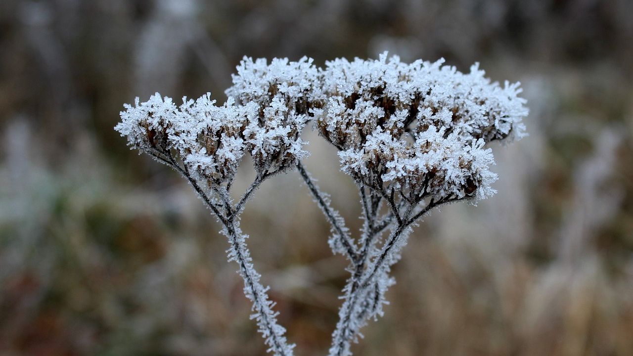 Vremea se schimbă radical. Prognoza meteo pentru joi, vineri și sâmbătă