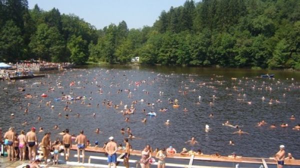 Staţiunea din România ideală pentru tratarea alergiilor