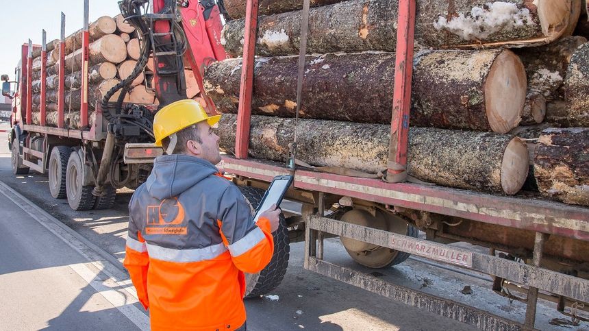 Holzindustrie Schweighofer: 70 de camioane sosesc pe zi la fabricile noastre de cherestea (P)