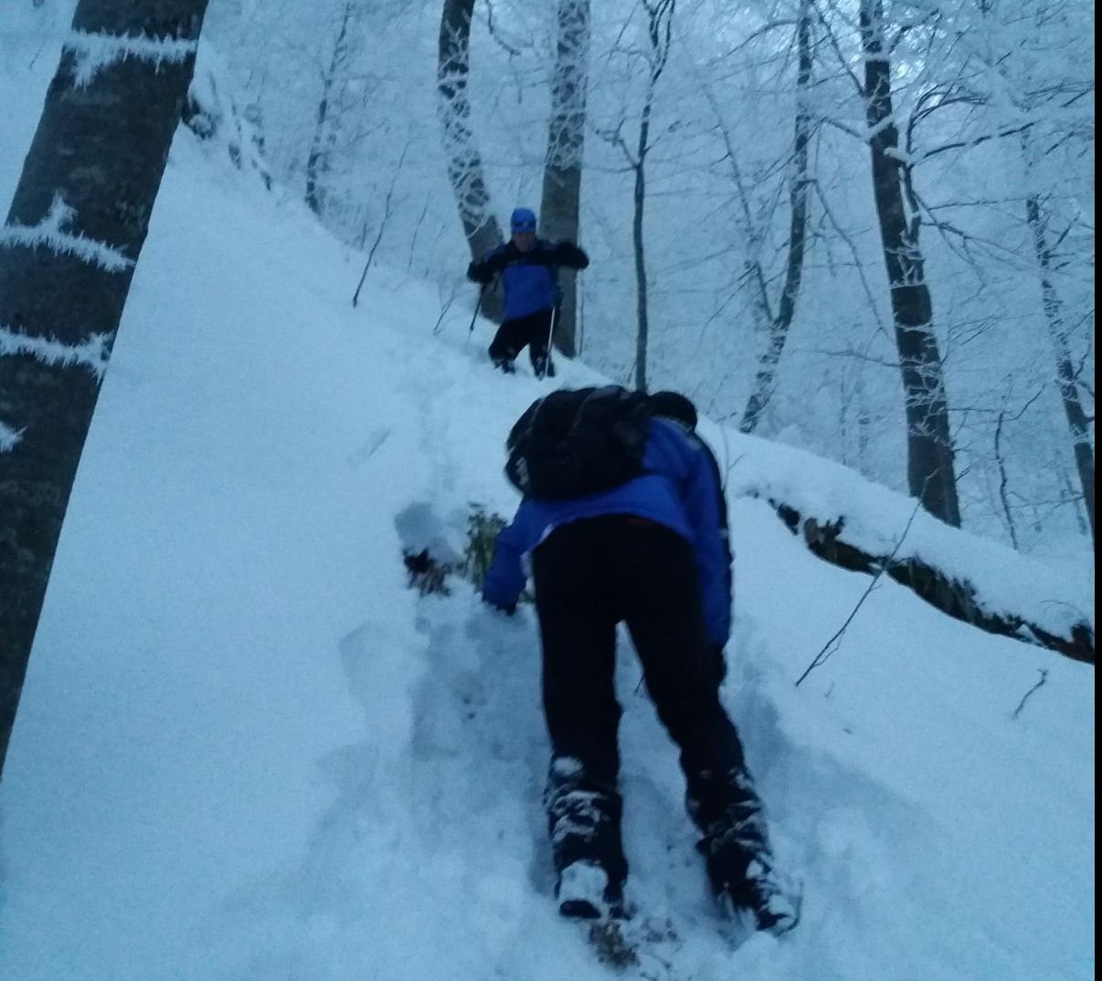 Schiori blocați ore în șir în Bucegi, salvați de jandarmi