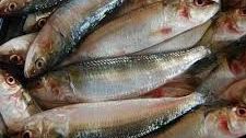 Când trebuie să eviți consumul de sardine