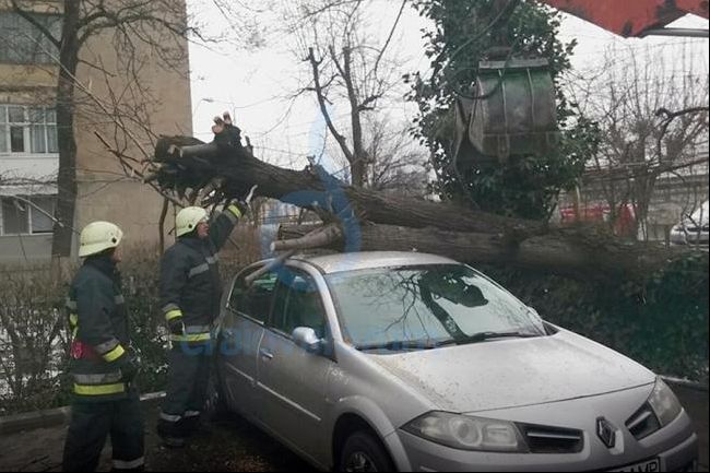 Efectul alertei meteo de vânt puternic: un copac s-a prăbuşit peste o maşină, în Craiova