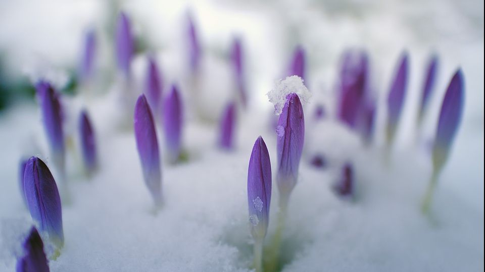 Prognoza meteo până vineri. Ce temperaturi vom avea la început de primăvară