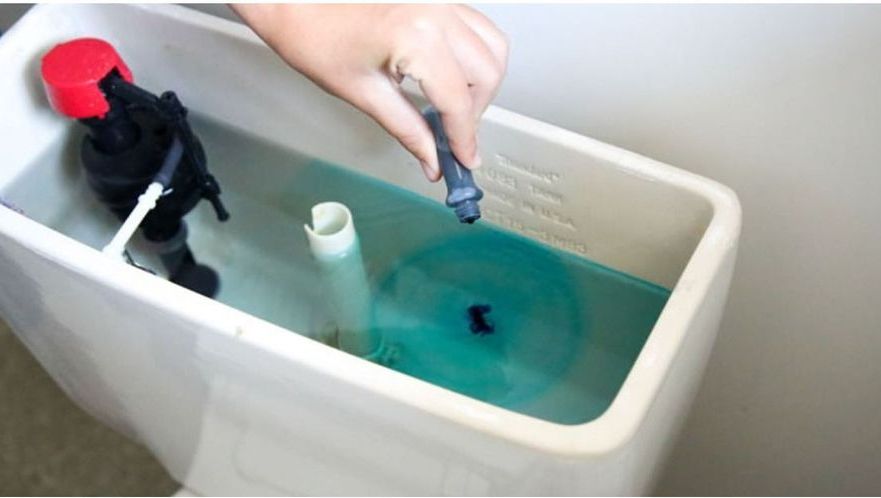 A turnat colorant alimentar în bazinul de la WC. Ce a urmat a ajutat-o să economisească mulţi bani