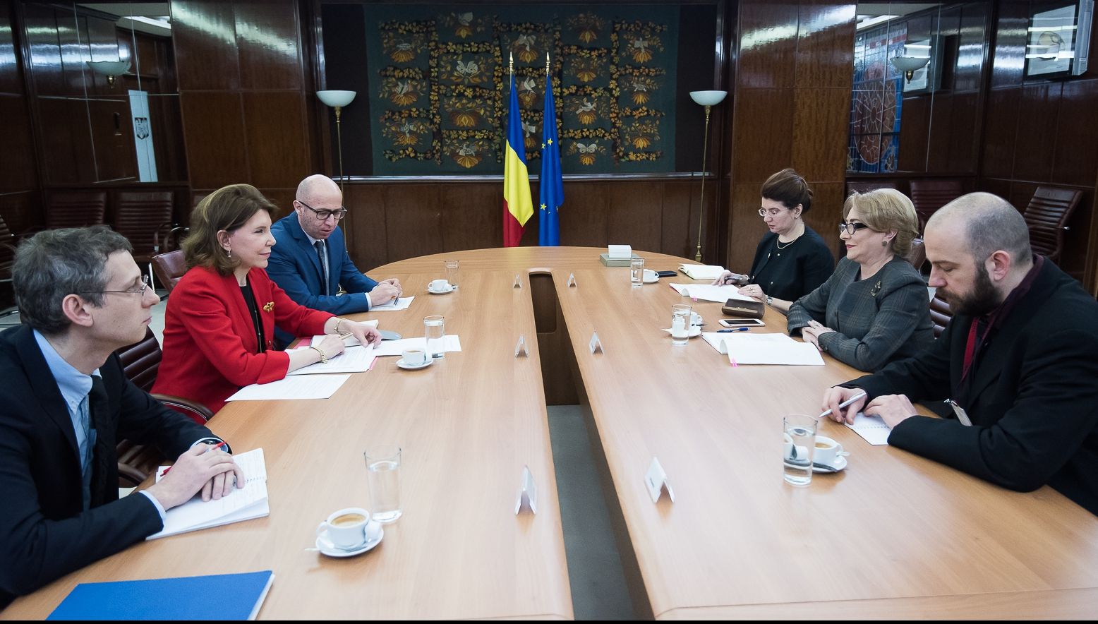 Viorica Dăncilă, întâlnire cu ambasadorul Franţei