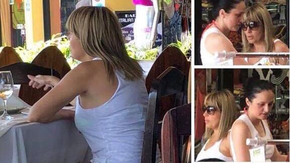 Avocatul Elenei Udrea, adevărul despre sarcina fostului ministru 