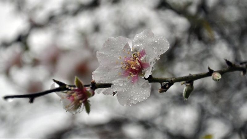 Anunţ de ultimă oră de la meteo. Cum va fi vremea în weekend