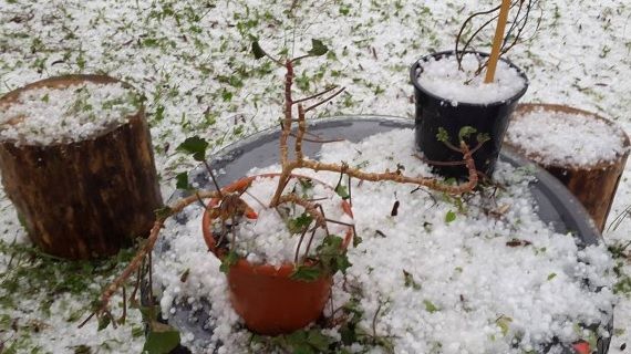 Alertă meteo de ultimă oră: COD GALBEN de furtuni şi grindină - HARTA