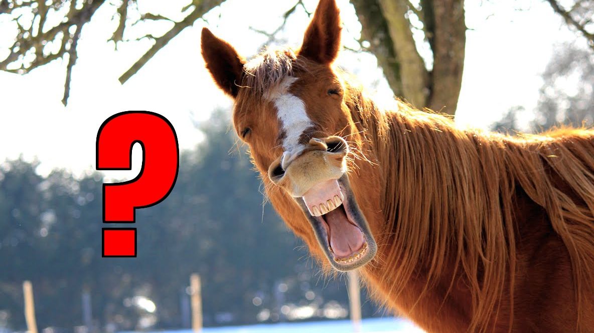 E o problemă banală de clasa a cincea, dar i-a blocat și pe părinți. Tu o poți rezolva?